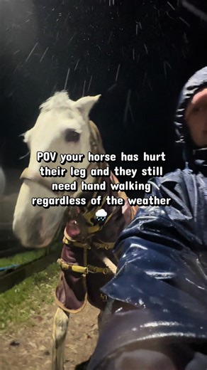 Damn what a way to start the year.. we just got going for 2 DAYS and now we’re on a week of meds, cold hosing and hand walks.. I need sedation #horsesoftiktok #equestrian #horses #amateurshowjumping #showjumping