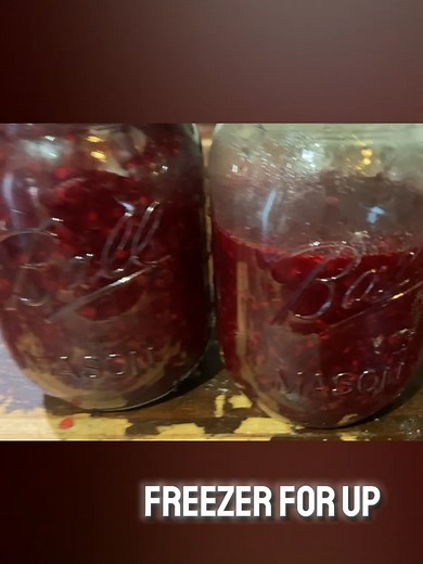 For Beginners & Pros ~ Blackberry Jam (NO PECTIN) In this video, we're making delicious Blackberry Jam without pectin, perfect for both beginners and seasoned pros. 🍇 Ingredients: Blackberries (fresh or frozen) Sugar Lemon juice 📝 Recipe Highlights: Prep the Berries: Adding ingredients & mashing berries. Cook: Simmer the berries with sugar and lemon juice. Consistency: Learn how to test for the perfect jam consistency. Storage: How to can your jam, store in fridge or freezer. #blackberry #home