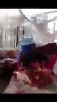 Dog that self suck // DORLIS