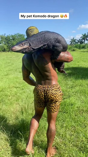 Big black dragon 🔥🥷🐉🐲 #fyp #lizard #indonesia #wild #wildlife #nature #planet