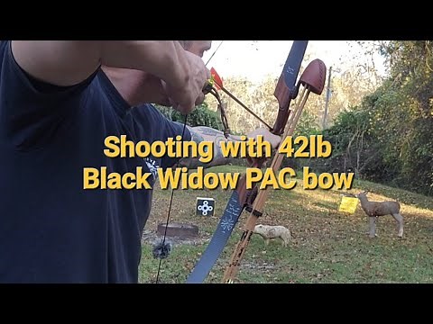 Shooting a Black widow PAC 42lbs