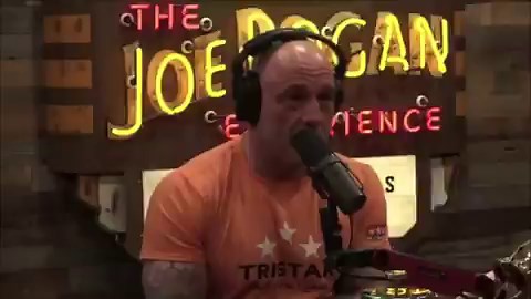 @RapidResponse47 Alex Jones knew about Epstein island >10 years ago. Something your donors don’t want you or your base to talk about