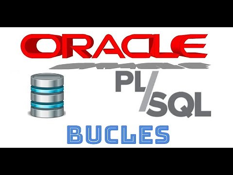 Curso completo de Oracle PLSQL en español desde cero | BUCLES | Introducción y BASIC LOOP (video 5)
