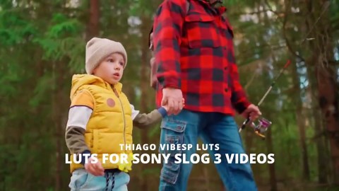 Sony SLog3 LUTs-paket + HTML-mall för filmskapares webbplats | Portfolio-tema för videoskapare - Etsy Sverige