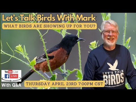 Let's Talk Spring Migration with Q&A