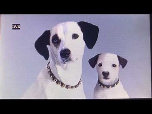 Opening to Universal Action (1980s-2005) DVD 2006