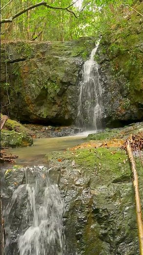 Cascade Relaxante | chant des oiseaux | Bruit de l'eau qui coule | Dormir | Méditation Relaxation