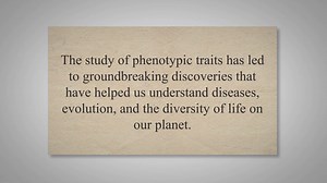 Uncovering Phenotypic Traits