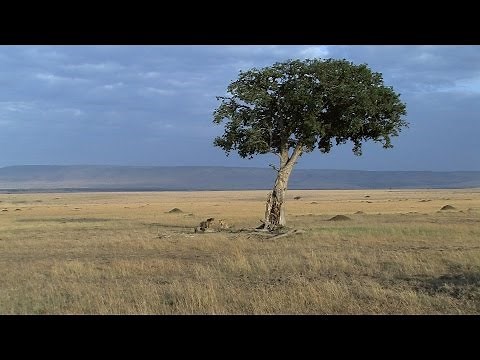 Big Five - Introduction