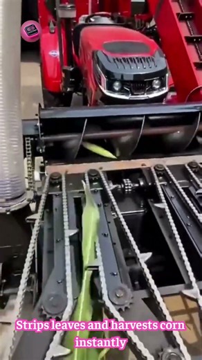 The Mini Corn Harvester That Strips Leaves and Picks Corn in Seconds! 🌽⚙️