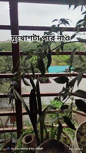 সকাল হয়ে গেছে, তাড়াতাড়ি উঠে পরো। | Santa Cooking Studio