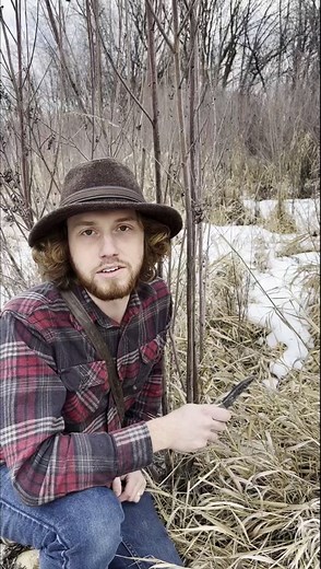 Knife Survival Tips for Bushcraft and Wilderness Skills