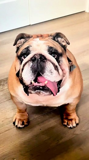 Chowder's Skateboarding Weekend Adventures