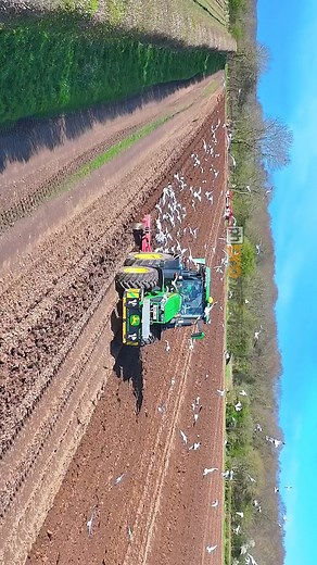 71K views · 596 reactions | John Deere tractor with a drag attracting the birds. | Pro Horizon Farming Content | Facebook