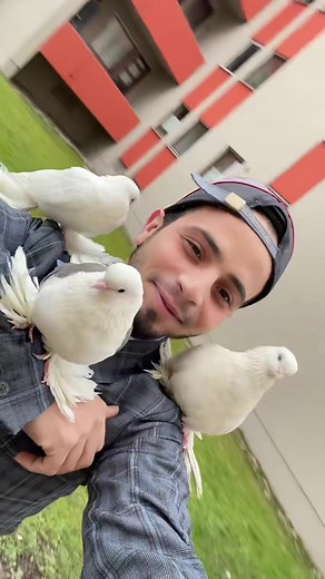 Coco hat eine schöne Familie. Coco Und Mimi Und Bubu #bubu #coco #mimi #volimte #jutro #jotro #dubro #dobro #volimteeee #taube #bilbil #