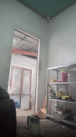 #creatorsearchinsights Quên