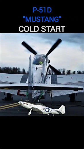 152K views · 4.6K reactions |  Mustang start up is Music to our ears! | World War Aviation | Facebook