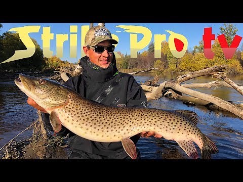 Strike Pro TV - TARGET AMUR (Amur Pike Fishing in Eastern Russia)