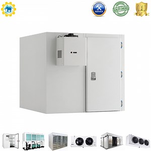 [Hot Item] Commercial Cold Storage Walk-in Freezer with Custom Evaporator