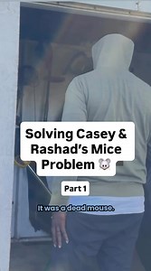 176K views · 11 reactions | These lawn care items might be inviting mice inside. 﫣 We sent Dr. Mike Bentley to help @caseynrashad tackle their problem and share smart storage tips. #Mice #MiceInfestations #LawnCare #PestPrevention | PestWorld | Facebook