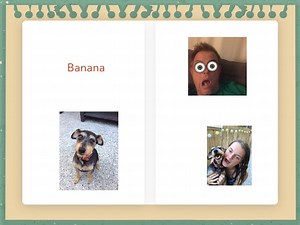 Learning how to use tiny tap