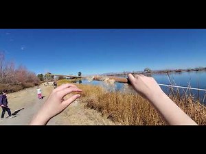 Satisfying Exploding Cattail