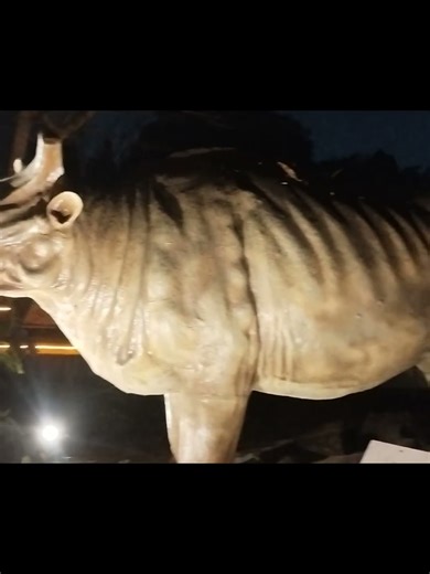 Regional Science centre 🦣🦕#socialmediamarketing #song #science