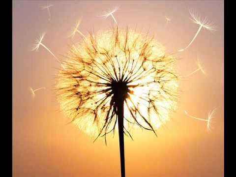 Méditation guidée purfication matinal des chakras Doreen Virtue