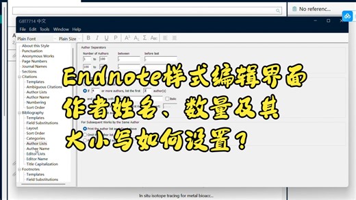 Endnote样式编辑界面作者姓名、数量和大小写如何设置？