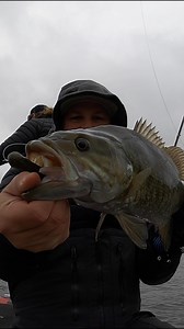 We talk about it a lot, but when the going gets tough, it's hard to beat a tube! There's something about that subtle presentation that catches quality fish in cold water. THE BAIT... •Big Bite Baits Tour Tube: https://bit.ly/32e23VR Color: Green Pumpkin Blue Flake •Xzone 60 Degree Head: https://bit.ly/3hV3cPE Size: 3/8 oz BUDGET TUBE COMBO... Rod– Daiwa Tatula XT: https://bit.ly/3n6Ojvx Model: 7'3" Medium Extra Fast Reel– Daiwa Fuego LT 2500: https://bit.ly/2yDmdtQ Line– Sufix 832 Braid (15 lb):