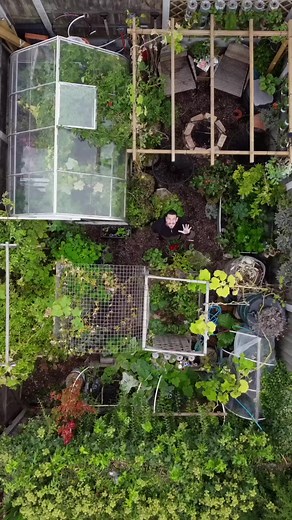 213K views · 9.8K reactions | 5 gardening tips! #shorts #gardening #garden #flowers #plants #nature #gardenlife #flower #gardendesign #growyourown #gardener #plantsofinstagram #naturephotography #gardeninspiration #growyourownfood #gardens #photography #green #plant #organic #mygarden #flowerstagram #flowersofinstagram #homegrown #gardenlove | Solo Gardening | Facebook