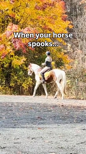 1.6K views · 265 reactions | When your horse spooks… your body’s...