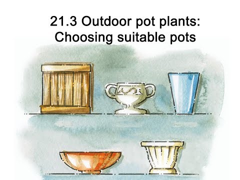 What you must know before you buy pots for your outdoor pot plants