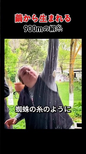 A traditional technique spanning thousands of years! The mystery of silk thread produced from coc...