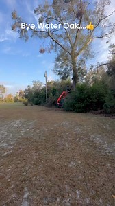 988 reactions · 25 comments | #wateroak #trees #treecutter #treefelling #kubota #stihl500i #remedy #treekiller #treewalker #another #hazardoustreeremoval #thankful #humble #stillhere #stillalive #pridgeontreeservice #floridalife #nofear #sendit #getitdone #donthate #bekind #goodday | Andy Pridgeon | Facebook