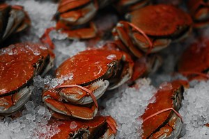Best Seafood Markets in Washington DC: Create Your Home-Made Feast
