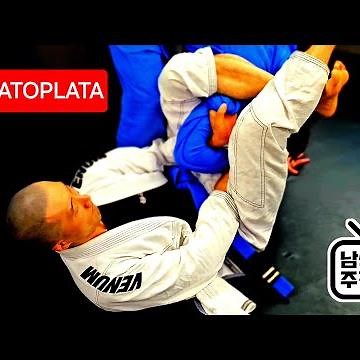 바라토플라타 (BARATOPLATA) MIYAO 스타일