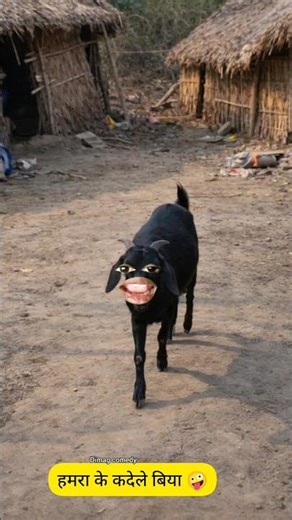 बकरी की कॉमेडी 🤣|#शॉर्ट्स #thetharpuns #comedyshorts #ytshorts #shilpisaroja #desicomedy #viralvideo