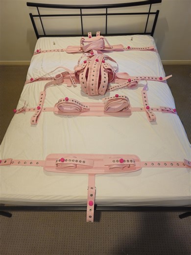 Pink Play Kit Segufix Cuffs Extra Secure Ankle, Thigh, Triple Waist Restraints Shoulder Chest Wrist Head Hospital Style - Etsy