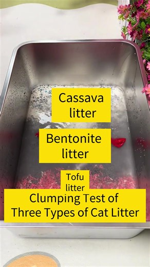 Testing the Clumping Effect of Cat Litter