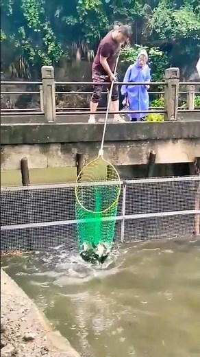 deadliest catch full episodes, deadliest catch season 18, deadliest catch 2022, Deadliest catch