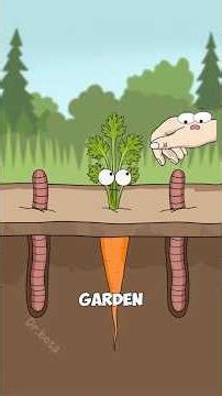 How Earthworms Help Improve Soil