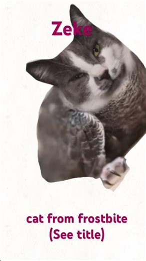 @rydadragons Zeke animation! #cat #animation @Kati12322