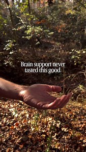 5.7K views · 25 reactions | Your brain holds a lot - thoughts, ideas, lists, plans, emotions. Our Memory Gummies were made to help support all of that. Each gummy blends Lion’s Mane (for clarity and memory), KSM‑66 Ashwagandha (to support calm and stress regulation), and Choline (to nourish cognitive function and learning). No crash. No overwhelm. Just steady, chewable support for clarity and recall. #fantasticfungi #memory | Fantastic Fungi | Facebook