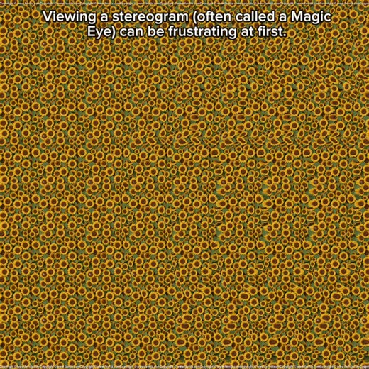 Happy New Year! Viewing a stereogram (often called a Magic Eye) can be frustrating at first. It requires you to override your natural instinct to focus on the surface of the image. Most stereograms use the