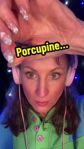 🦔 ASMR porcupine #asmr #asmrsounds #englishasmr #asmrvideo #shhhasmr
