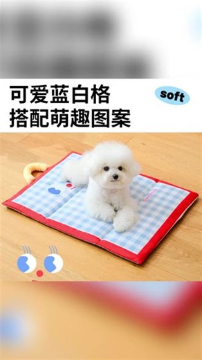 夏季宠物双面狗垫子可机洗四季通用中小型犬猫咪睡垫 #宠物垫子 #狗窝推荐 #可机洗宠物用品 #四季通用宠物垫 #中小型犬用品