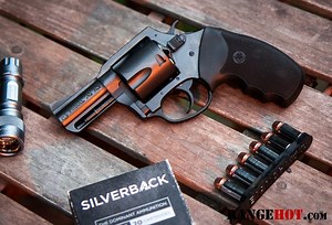 Charter Arms Pitbull in .45 Auto - RangeHot - Expert Firearms Reviews & Guides