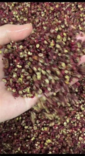 正宗的老火锅底料 拒绝科技狠活，慢火熬制的老火锅底料，牛油醇厚不发苦，辣得温和，麻得过瘾，越煮越浓郁，越吃越上瘾#老火锅底料 #纯牛油火锅底料 #重庆老火锅 #底料源头工厂直供 #美食分享