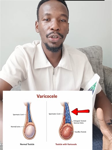 Natural Remedies for Overcoming Fertility Challenges